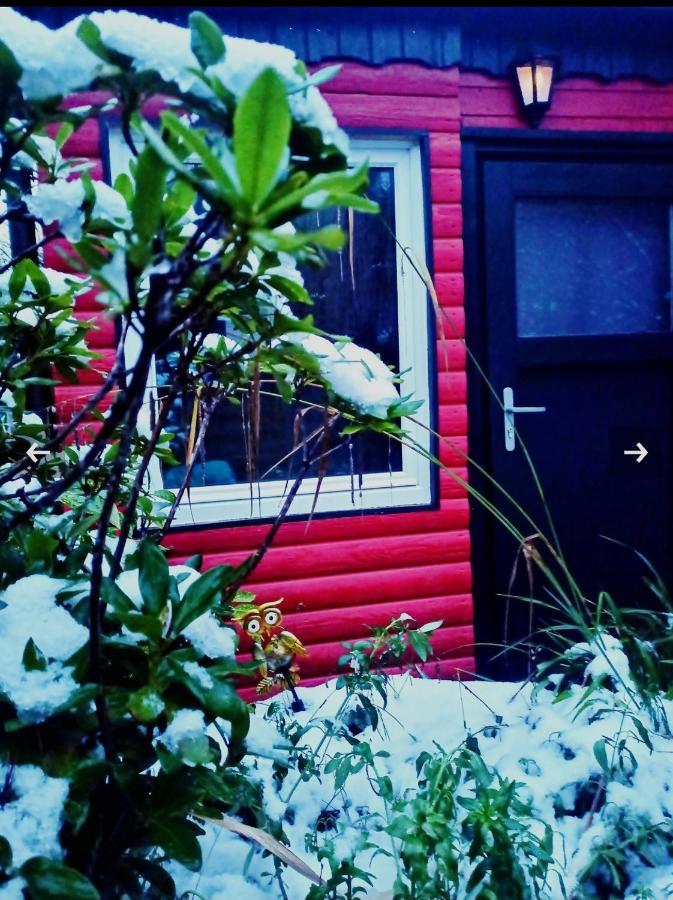 Tiny Waldheim Villa Billerbeck Exteriör bild